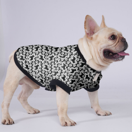 Ace - Jacket for French bulldog