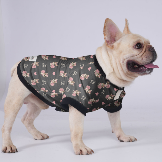 James - Jacket for French bulldog