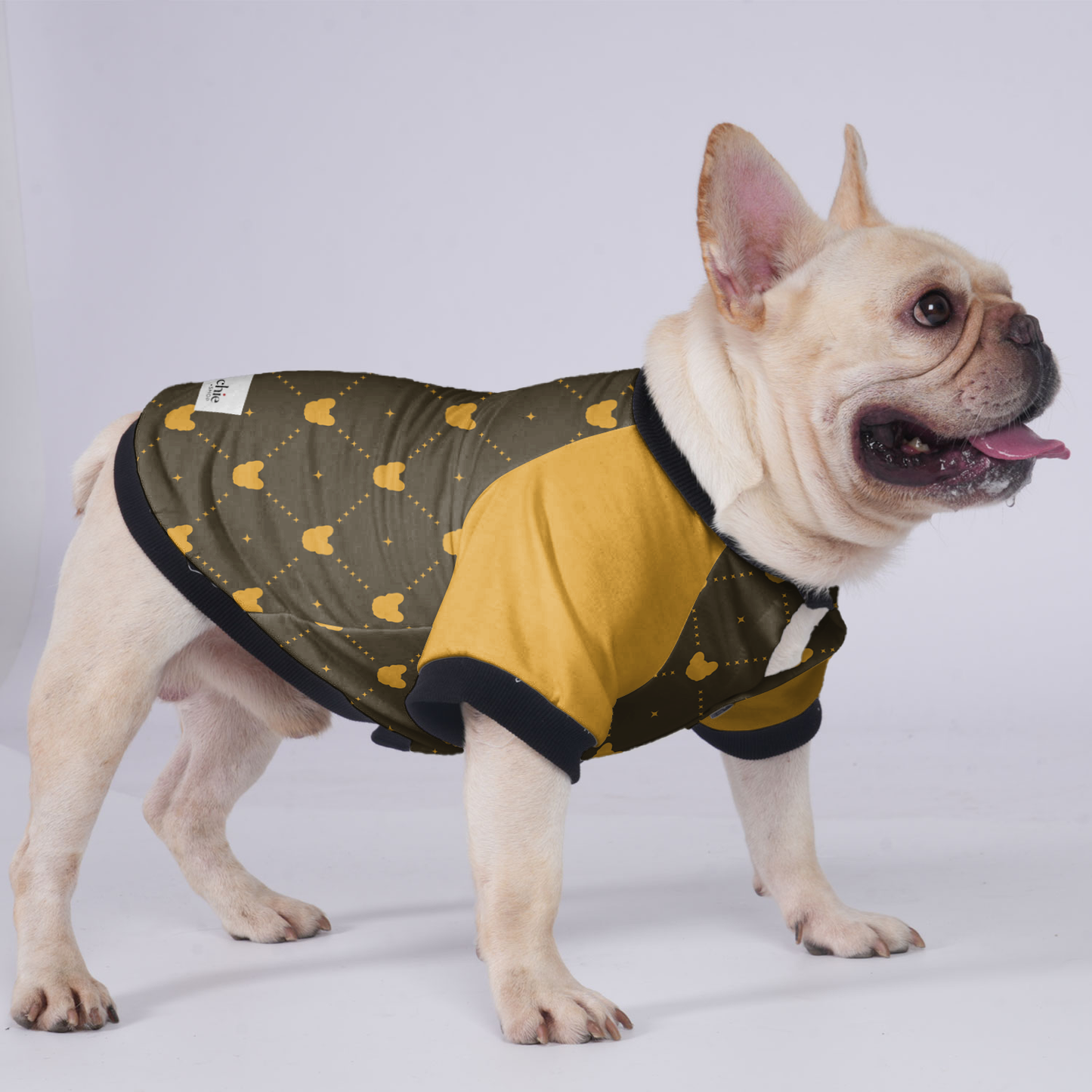 Lincoln  - Jacket for French bulldog