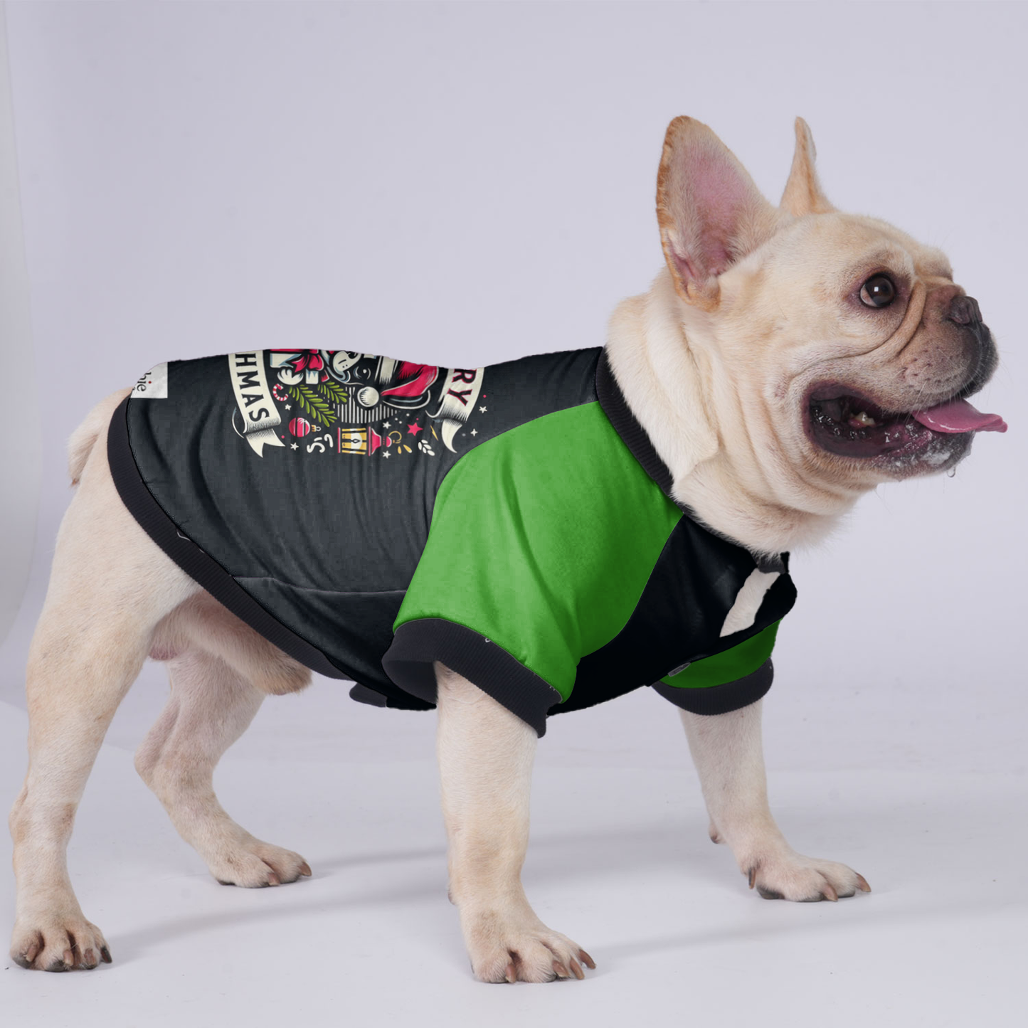 Bailey - Jacket for French bulldog