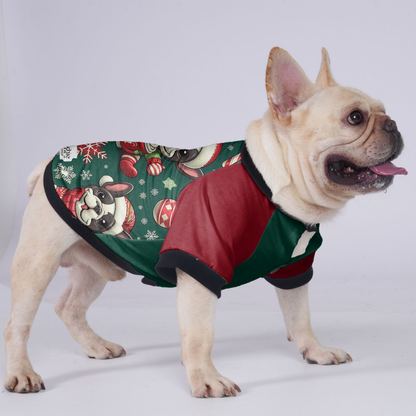 Cooper - Jacket for French bulldog