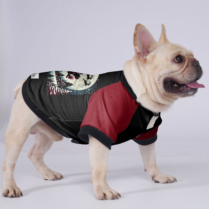 Molly - Jacket for French bulldog