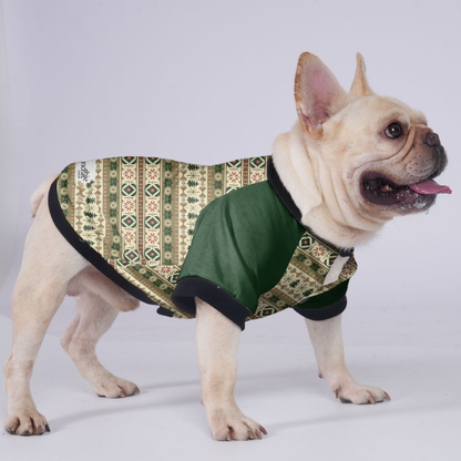 Teddy - Jacket for French bulldog