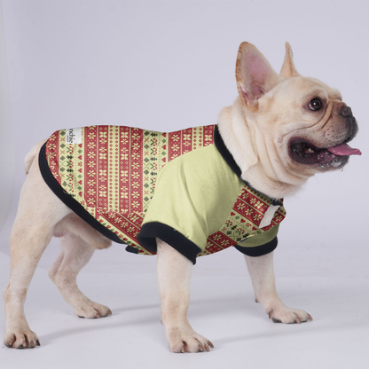 Remi - Jacket for French bulldog