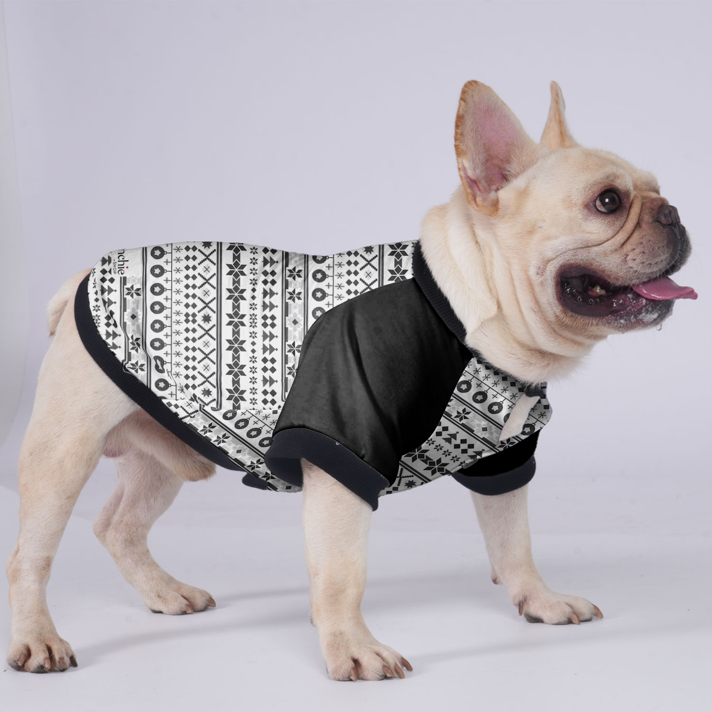 Izzy - Jacket for French bulldog