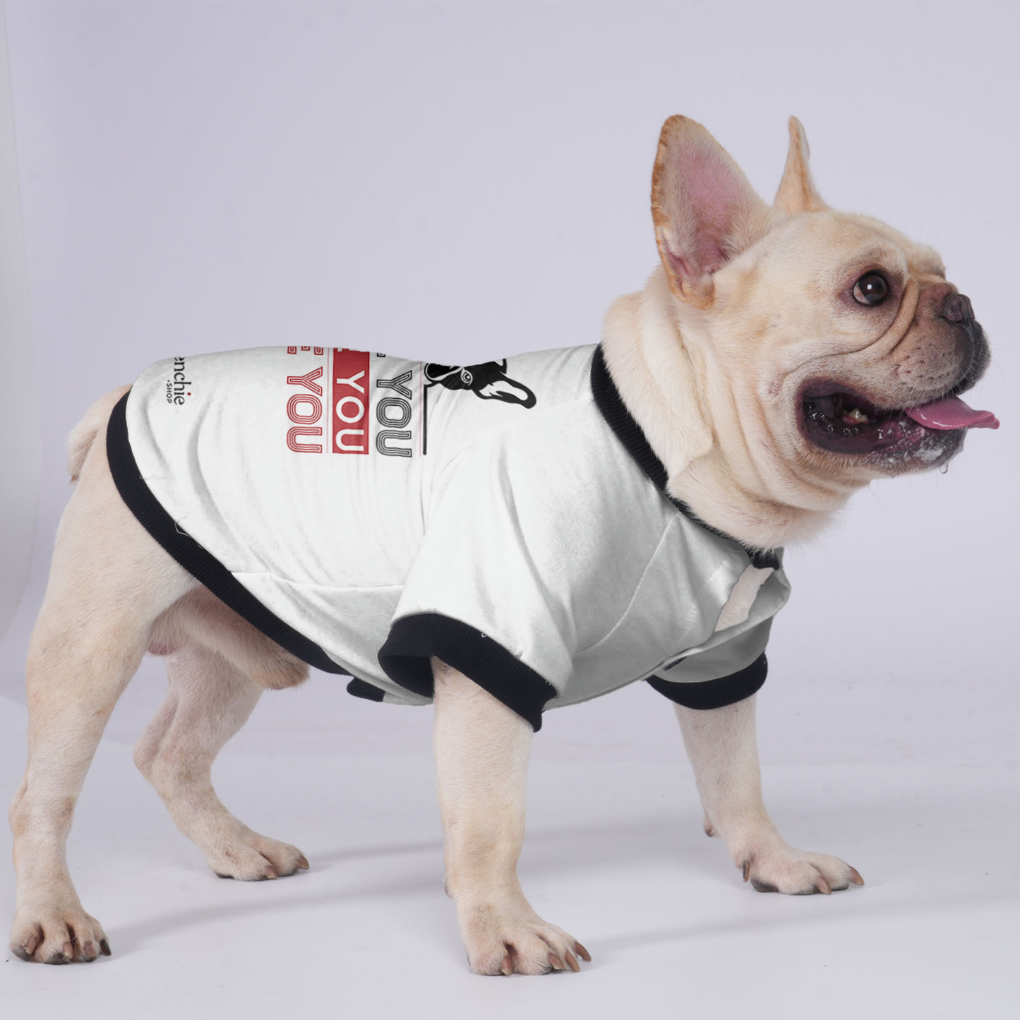 Luna - Jacket for French bulldog