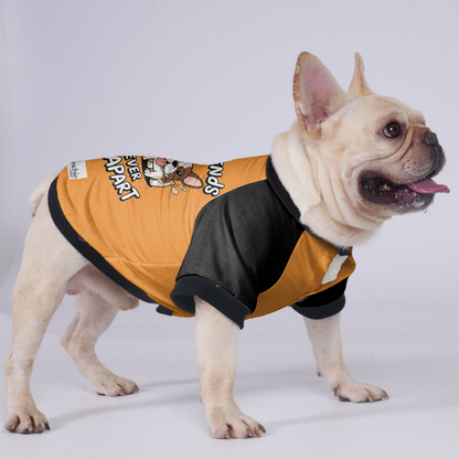 Zoey - Jacket for French bulldog