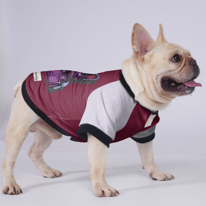 Lily - Jacket for French bulldog