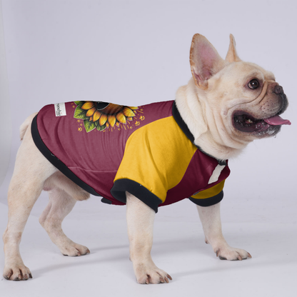 Toby - Jacket for French bulldog