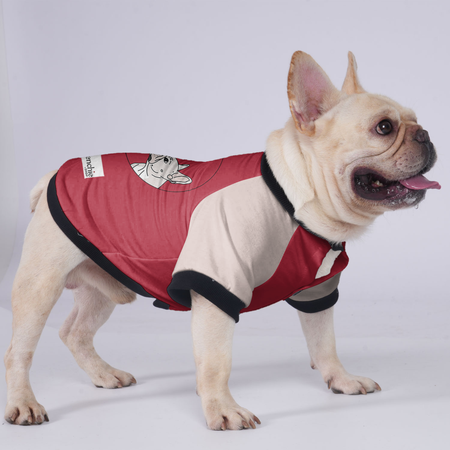 Sophie - Jacket for French bulldog