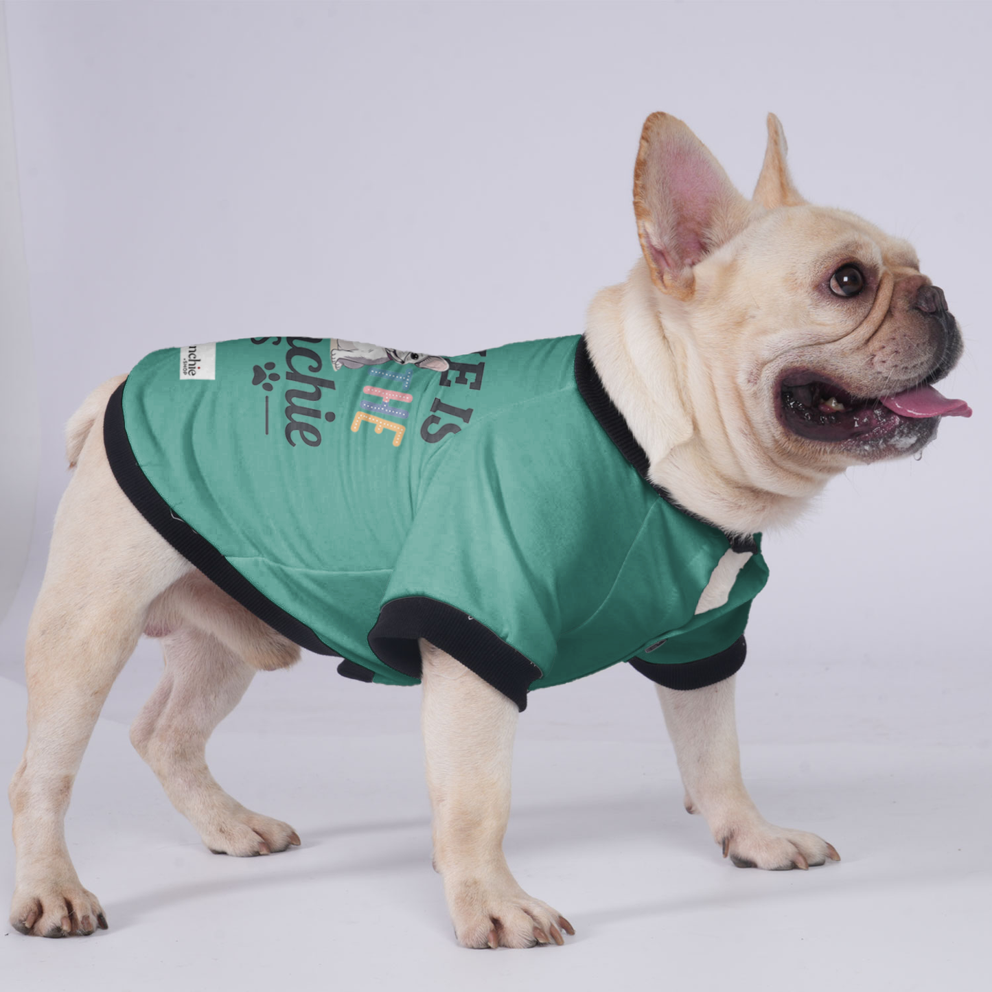 Charlie - Jacket for French bulldog