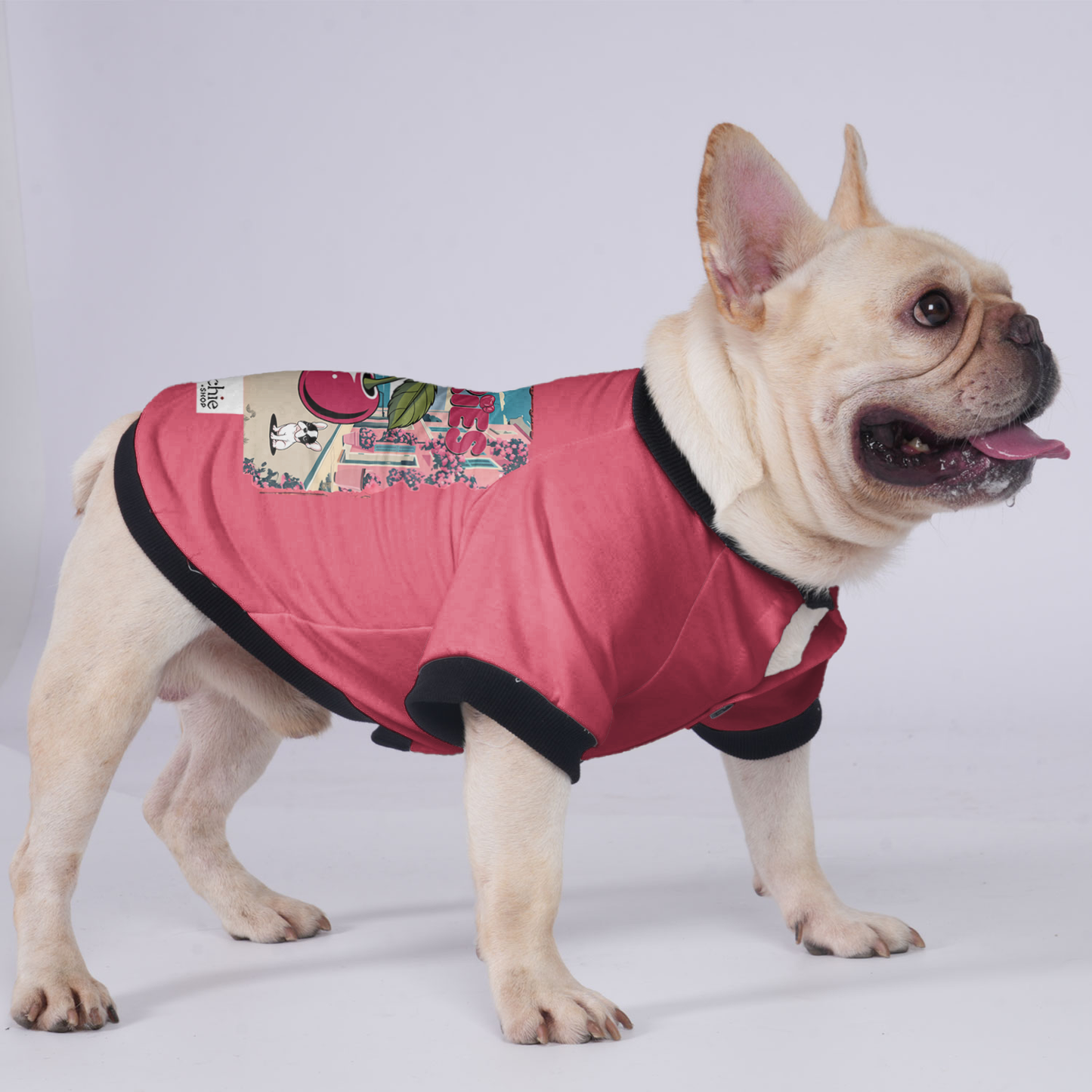 Lady - Jacket for French bulldog