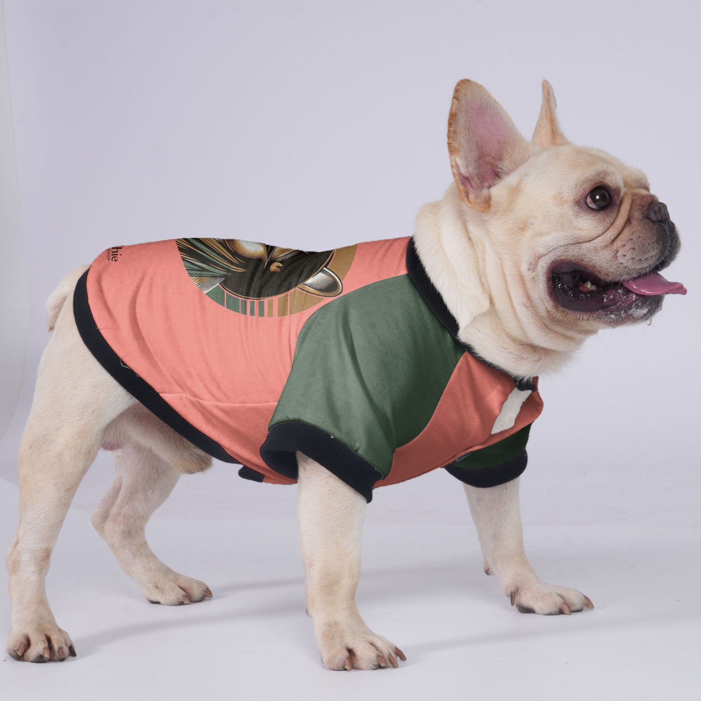 Lucy - Jacket for French bulldog