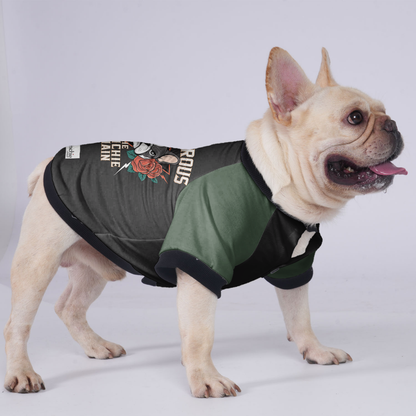 Melo - Jacket for French bulldog