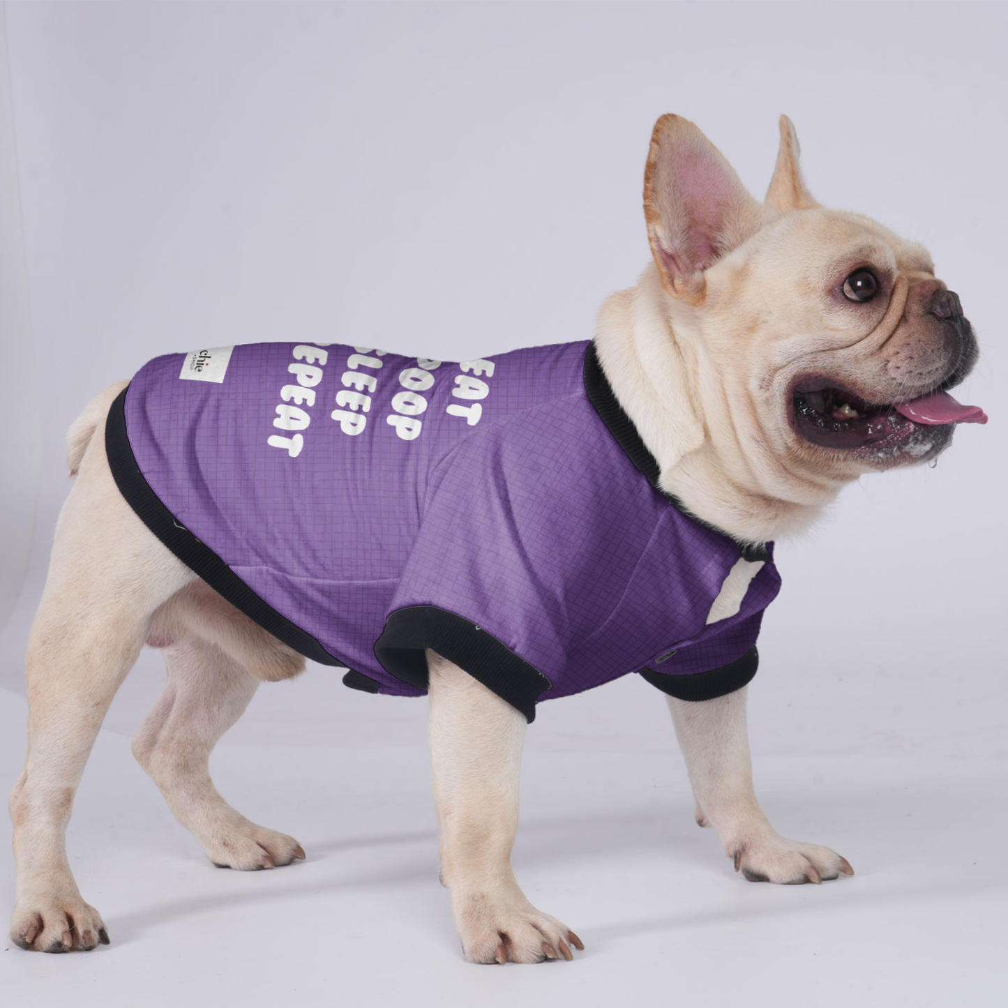 Eat,Poop,Sleep,Repeat - Jacket for French bulldog