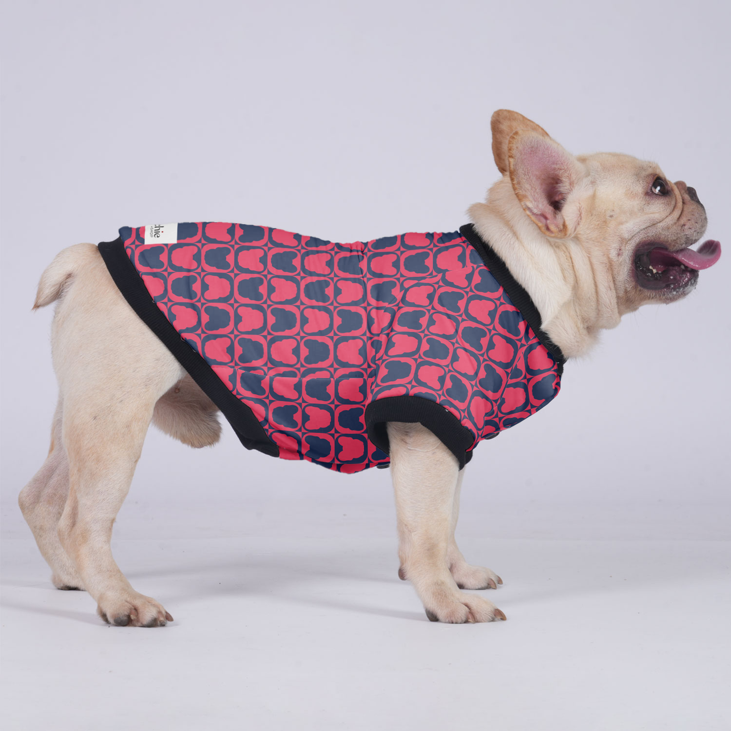 Chip - Jacket for French bulldog