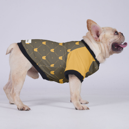 Lincoln  - Jacket for French bulldog