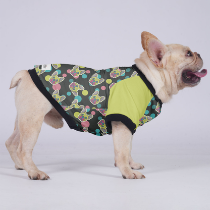 Larry  - Jacket for French bulldog