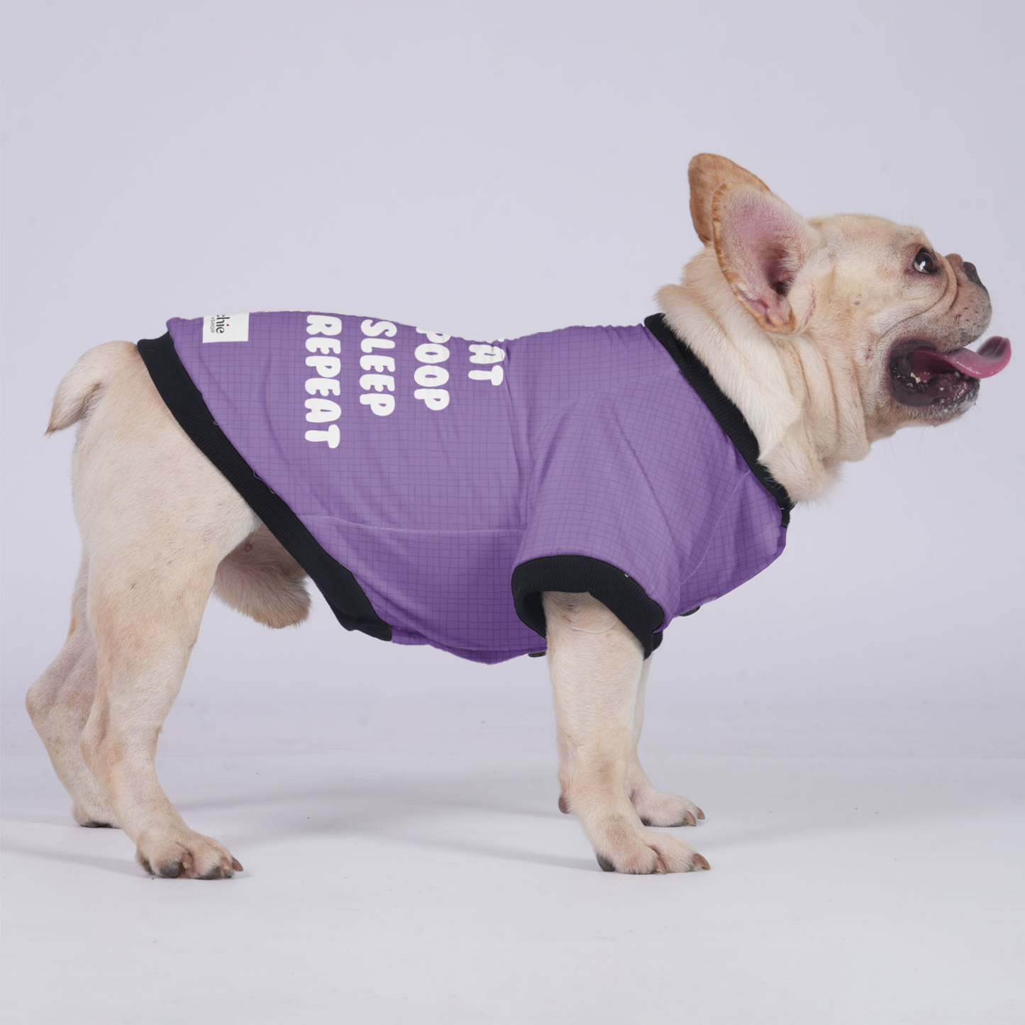 Eat,Poop,Sleep,Repeat - Jacket for French bulldog