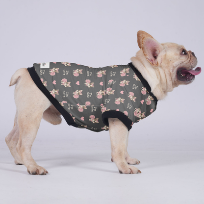 James - Jacket for French bulldog