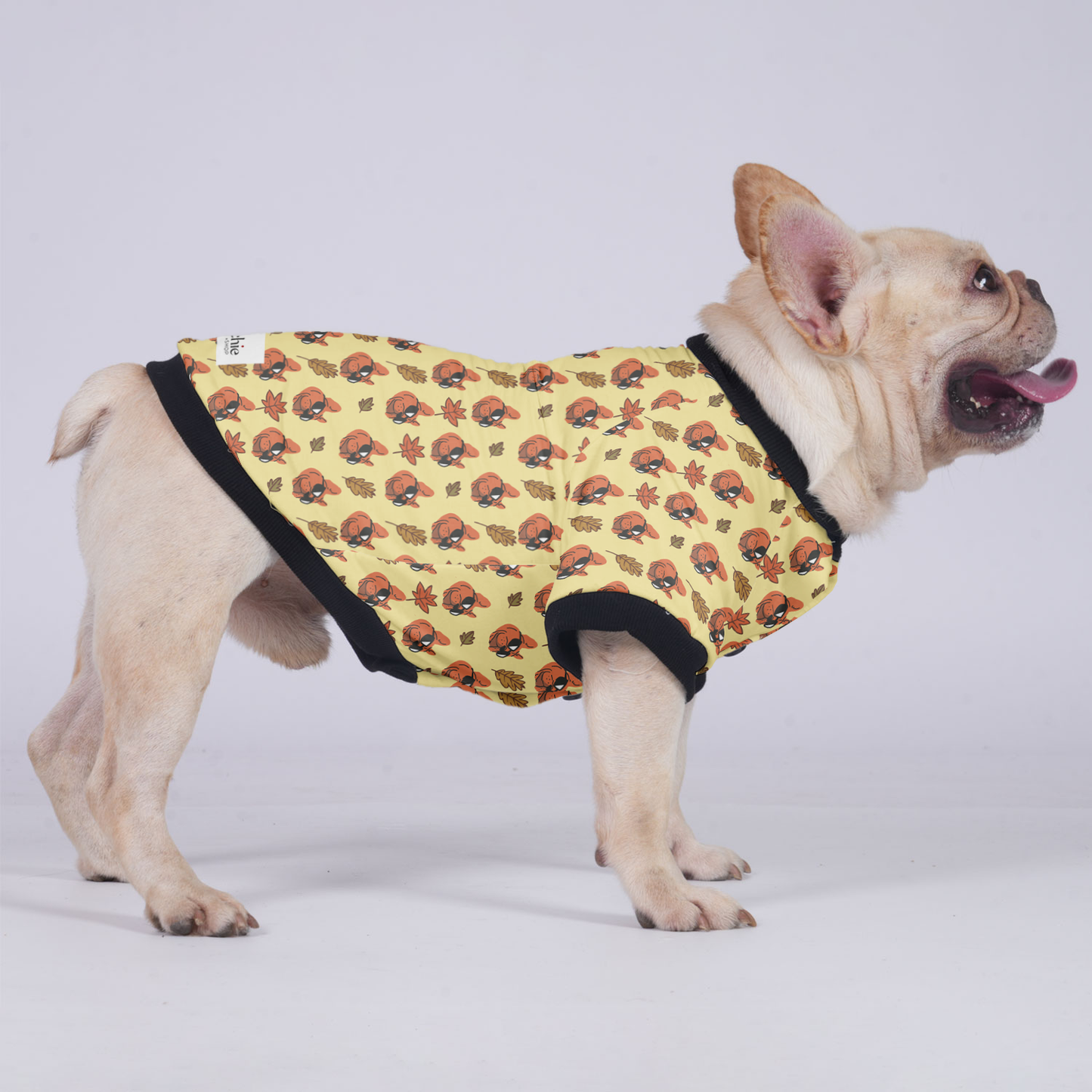 Butter - Jacket for French bulldog