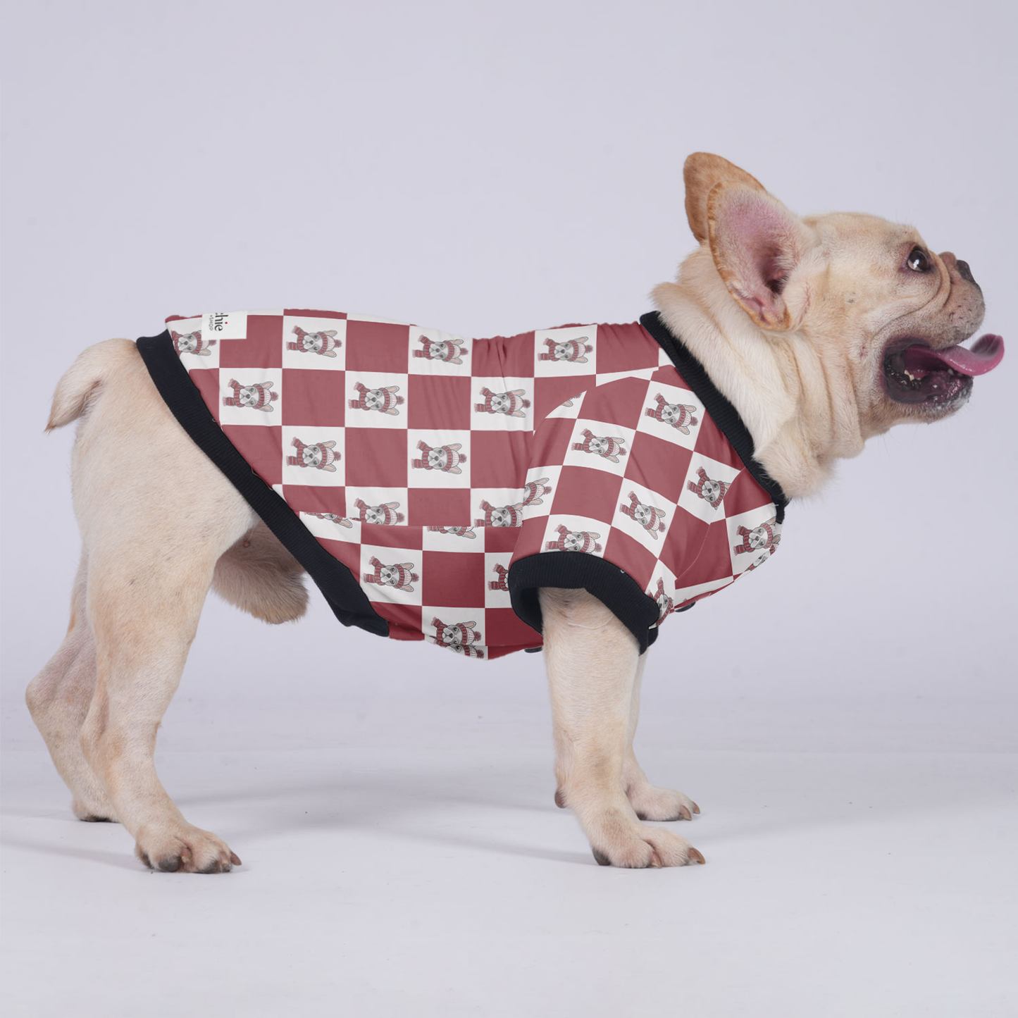 Winston - Jacket for French bulldog