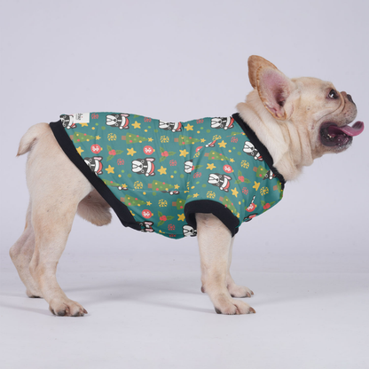 Pablo - Jacket for French bulldog