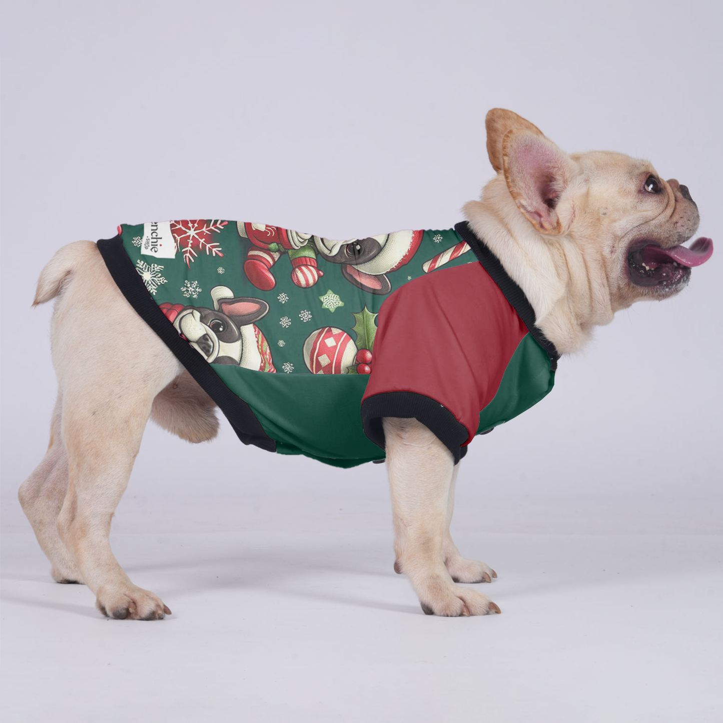 Cooper - Jacket for French bulldog