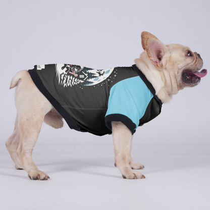 Abby - Jacket for French bulldog