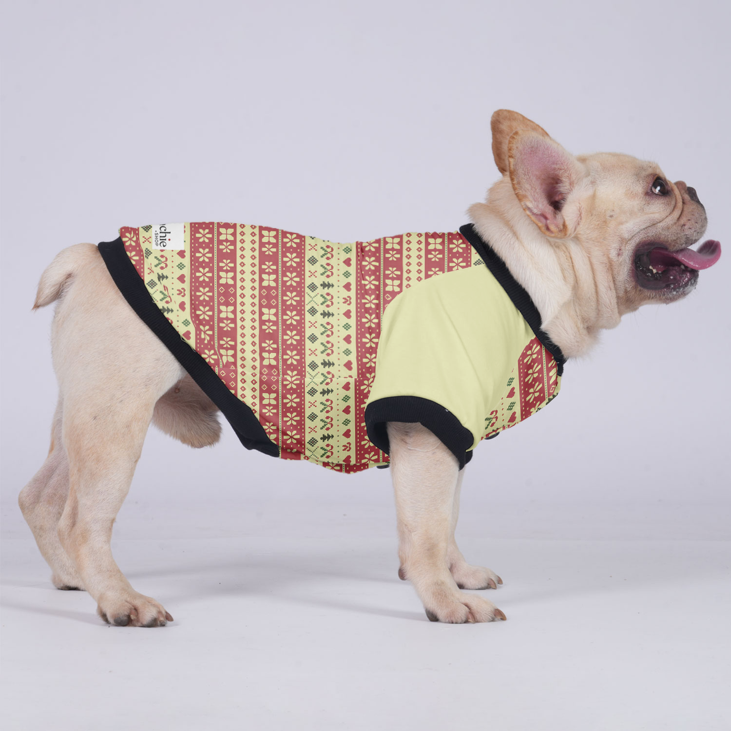 Remi - Jacket for French bulldog