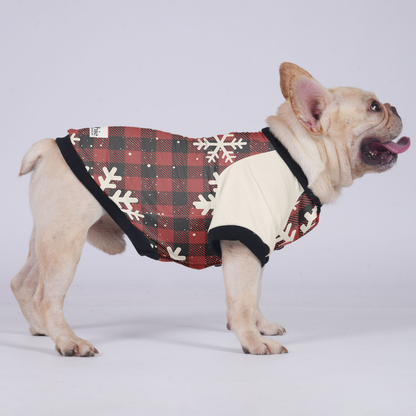 Chloe - Jacket for French bulldog