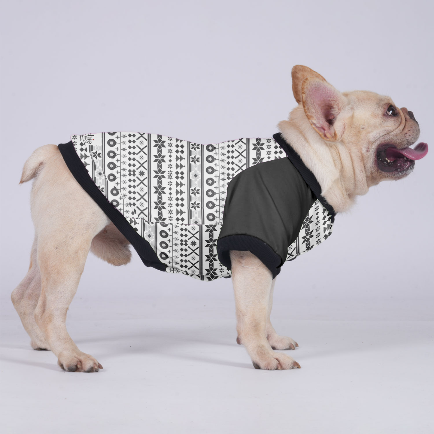 Izzy - Jacket for French bulldog