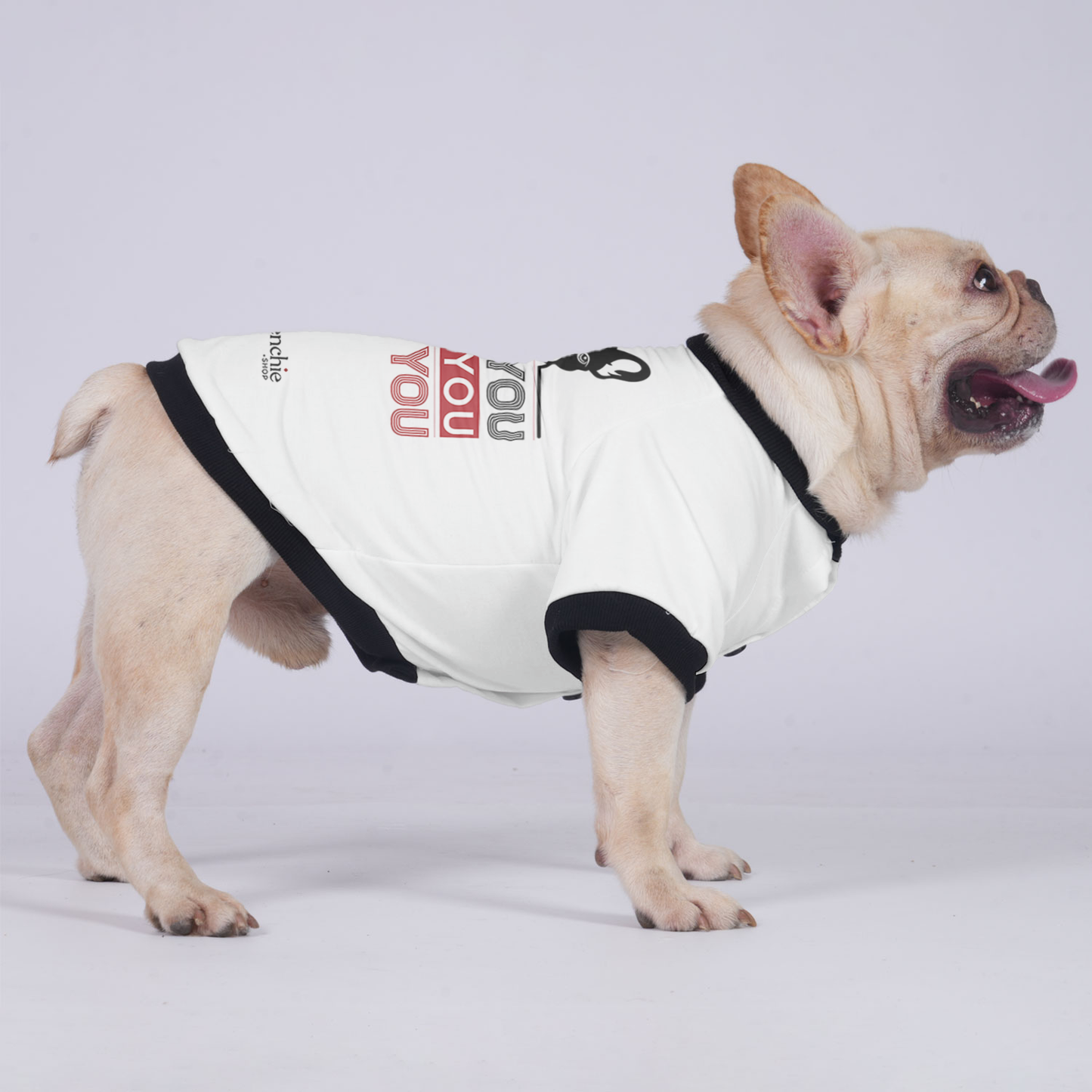 Luna - Jacket for French bulldog