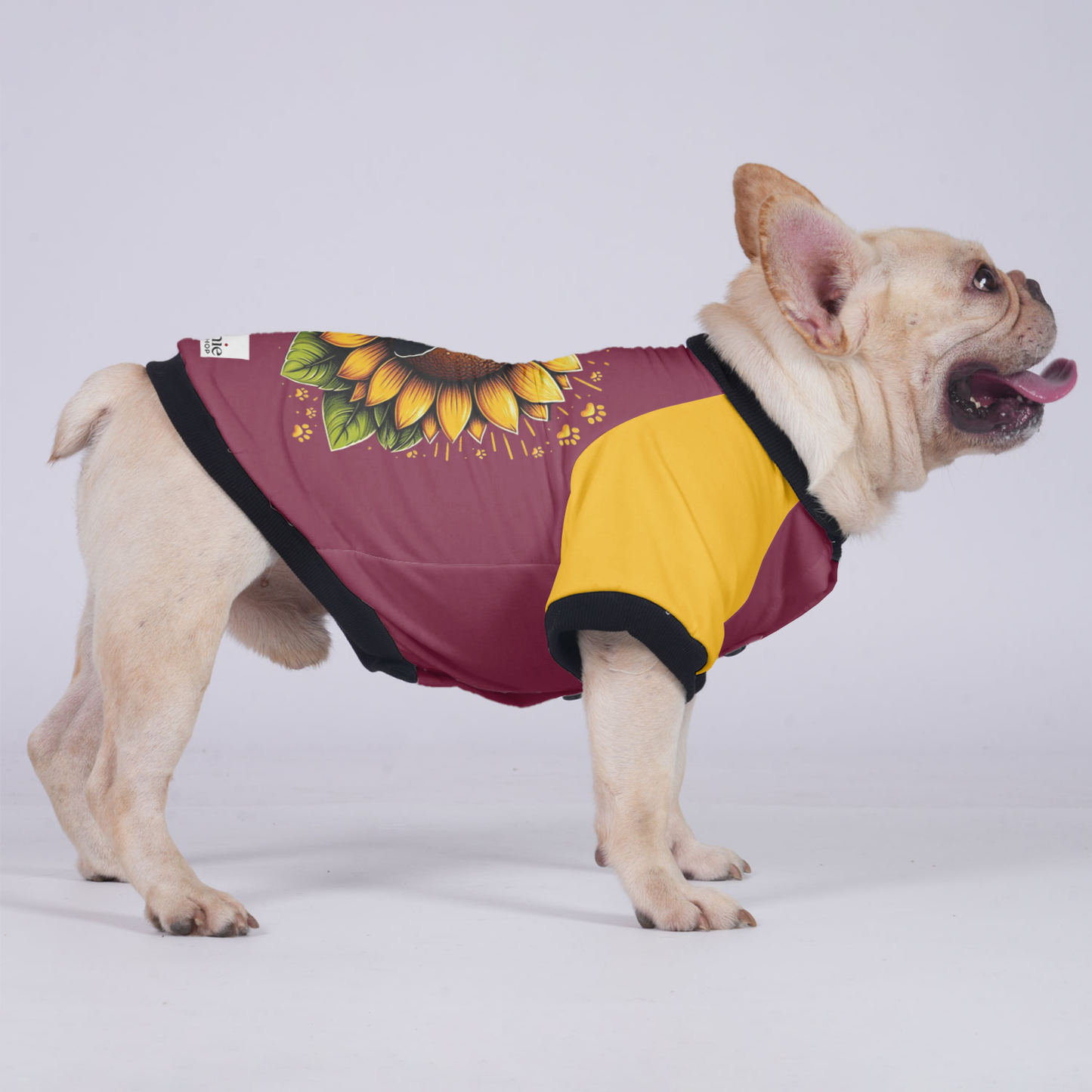 Toby - Jacket for French bulldog