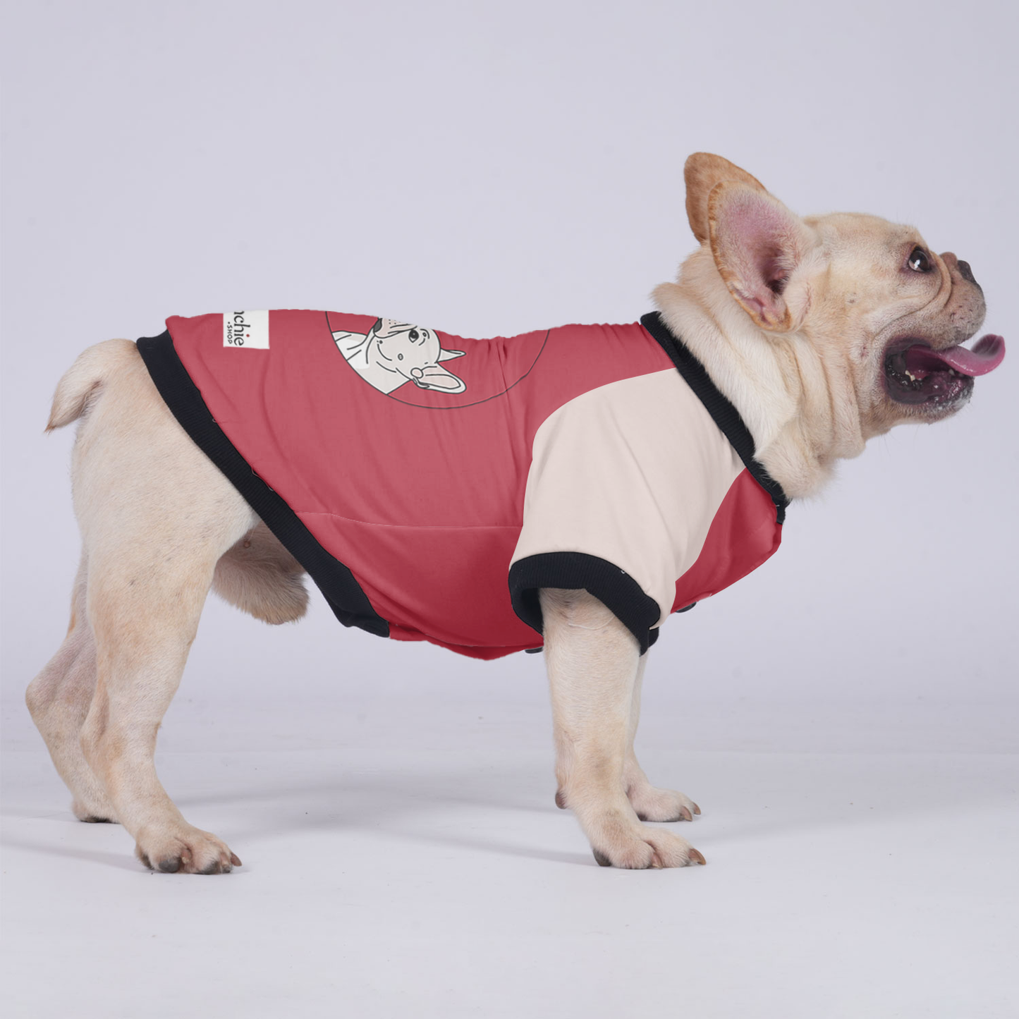 Sophie - Jacket for French bulldog