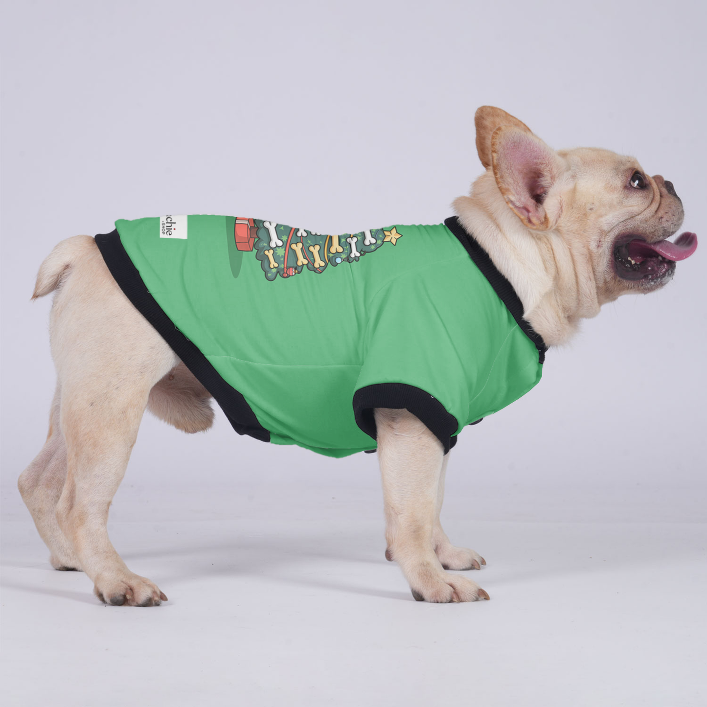 Daisy - Jacket for French bulldog