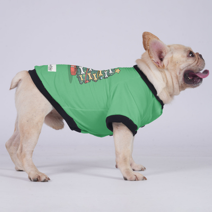 Daisy - Jacket for French bulldog