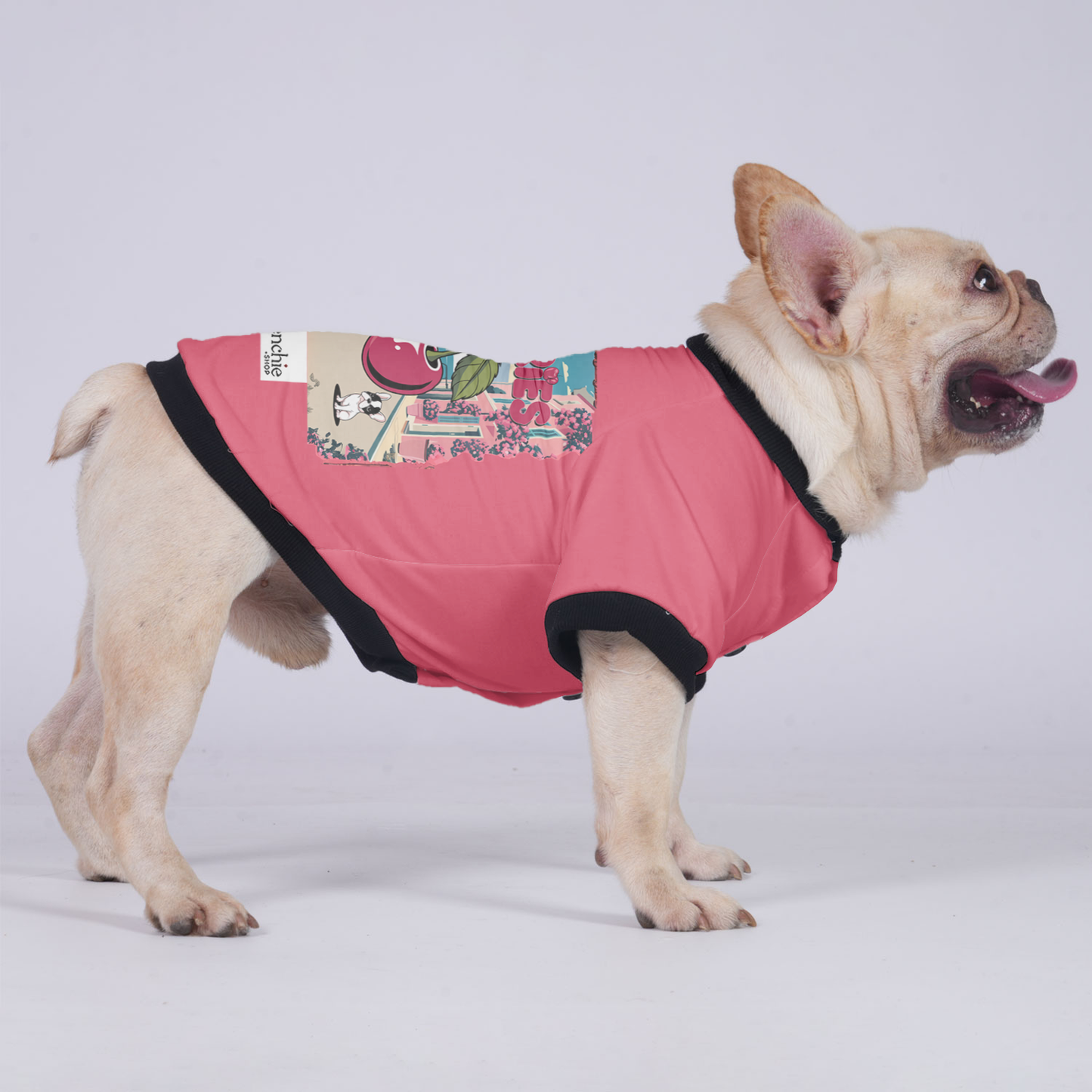 Lady - Jacket for French bulldog