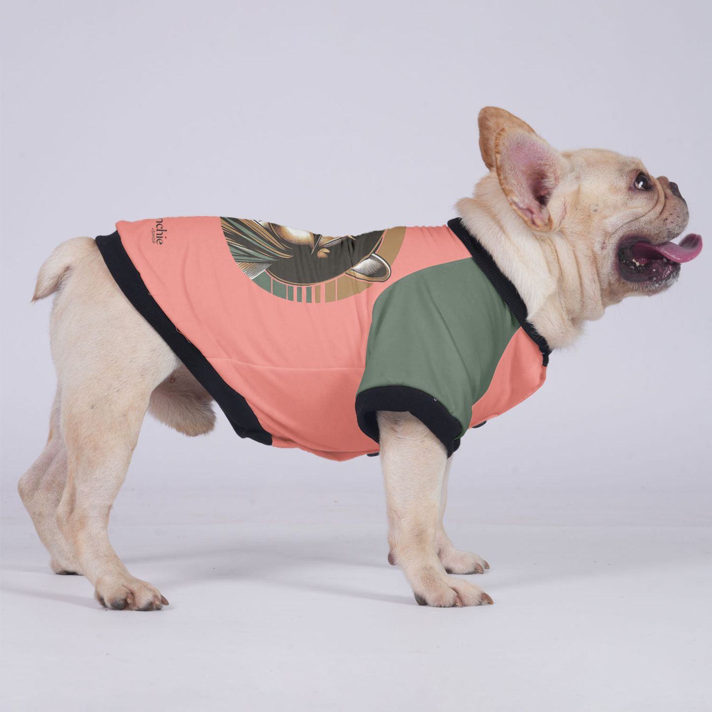 Lucy - Jacket for French bulldog