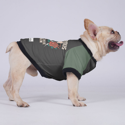 Melo - Jacket for French bulldog