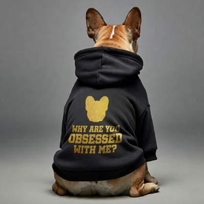 Why are you obsessed with me? - Personalized French Bulldog Hoodies with Funny Quotes – Stylish, Cozy, and Premium 100% Cotton