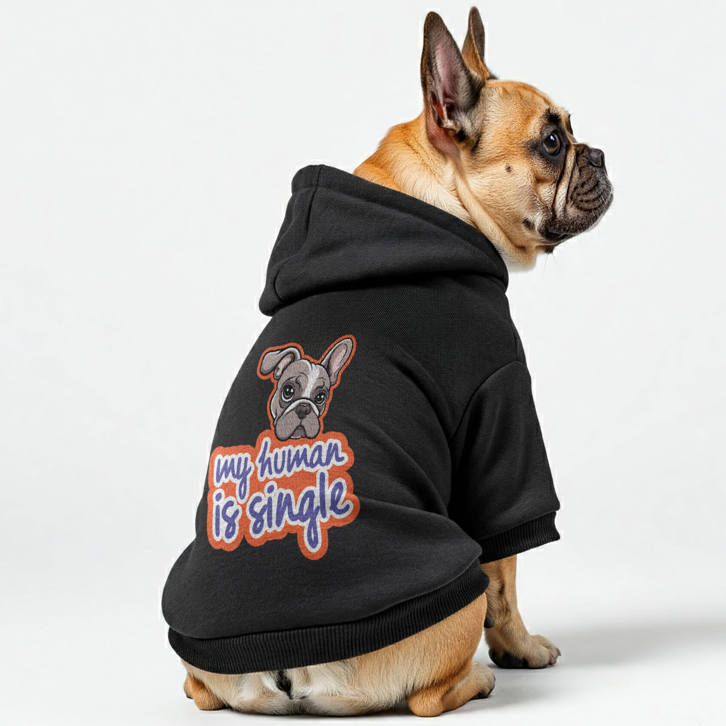 my human is single - Personalized French Bulldog Hoodies with Funny Quotes – Stylish, Cozy, and Premium 100% Cotton