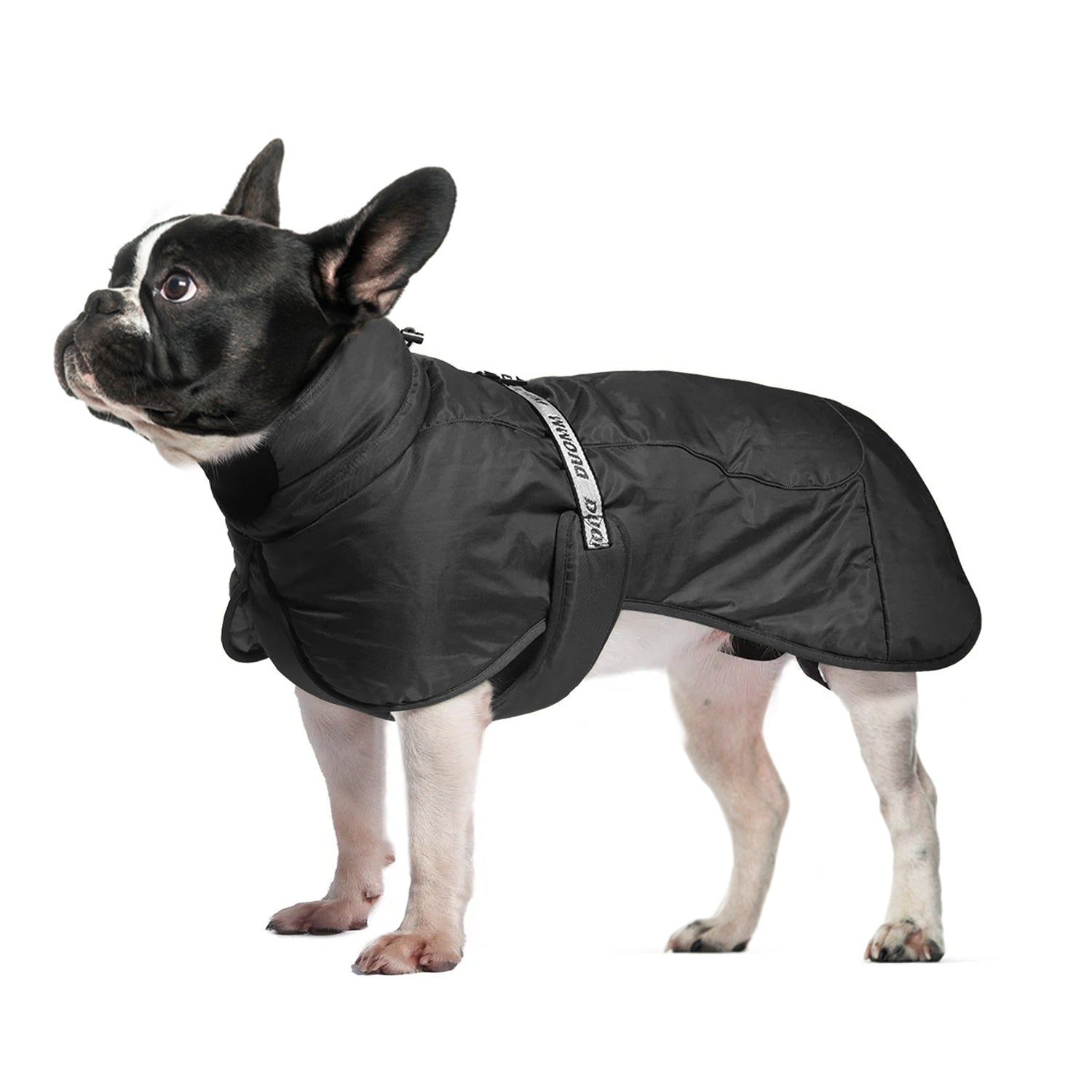 Cozy Frenchie Winter Jacket Thicken Warm Dog Coat – frenchie Shop