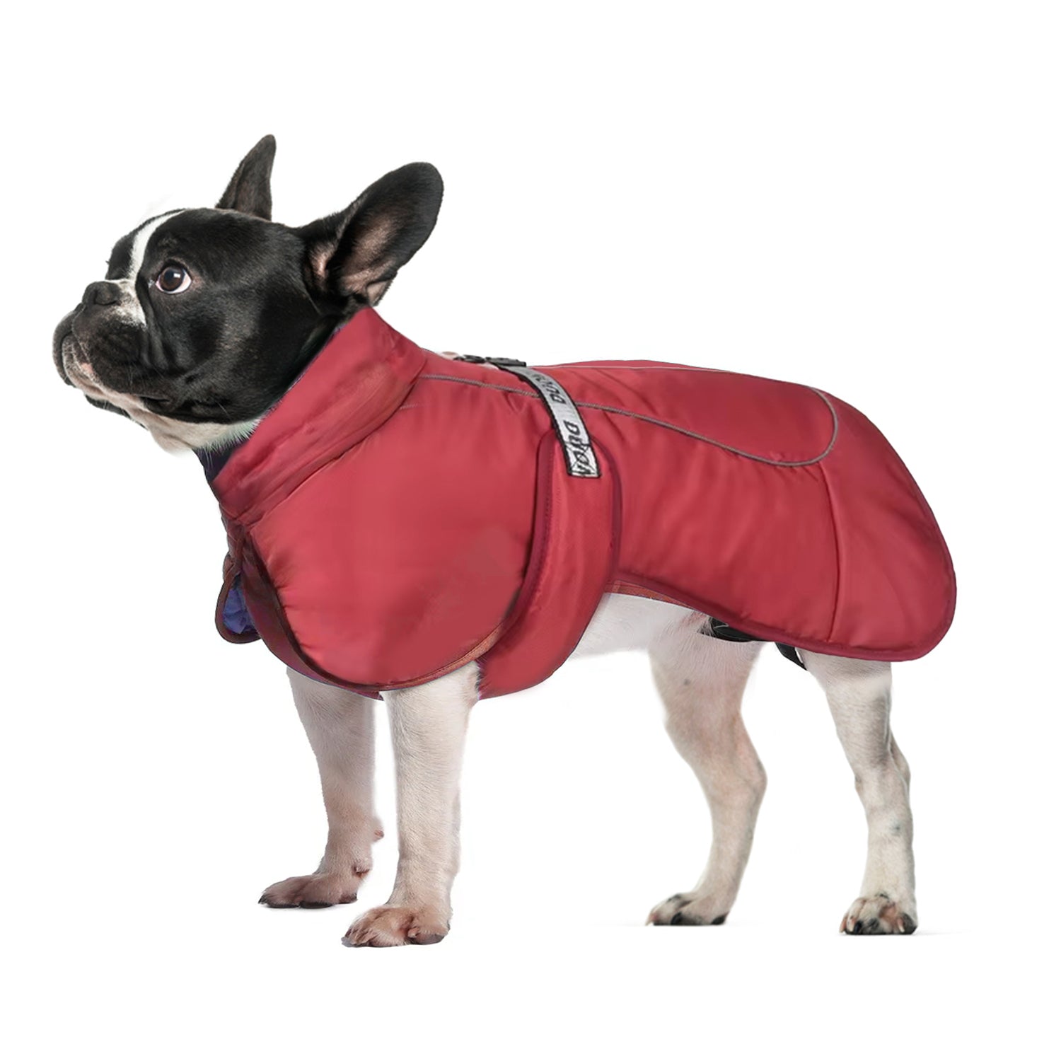 Cozy-Frenchie-Winter-Jacket-Thicken-Warm-Dog-Coat-www.frenchie.shop