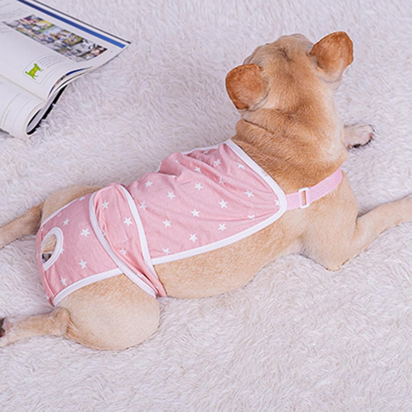 French-Bulldog-Shorts-Diaper-Pants-Fashionable-and-Functional-www.frenchie.shop