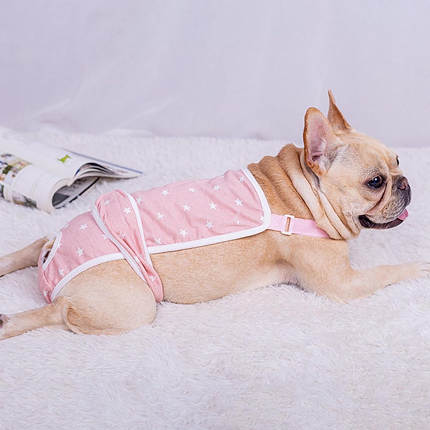 French-Bulldog-Shorts-Diaper-Pants-Fashionable-and-Functional-www.frenchie.shop