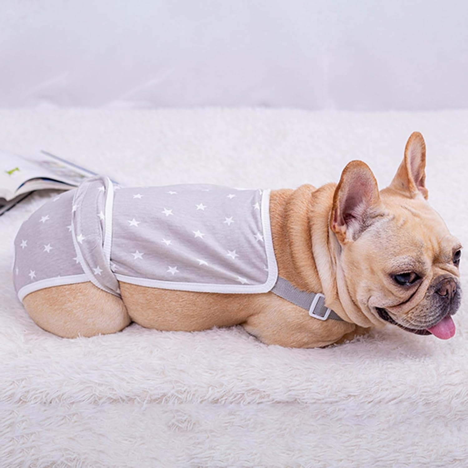 French Bulldog Shorts Diaper Pants I Fashionable and Functional frenchie Shop