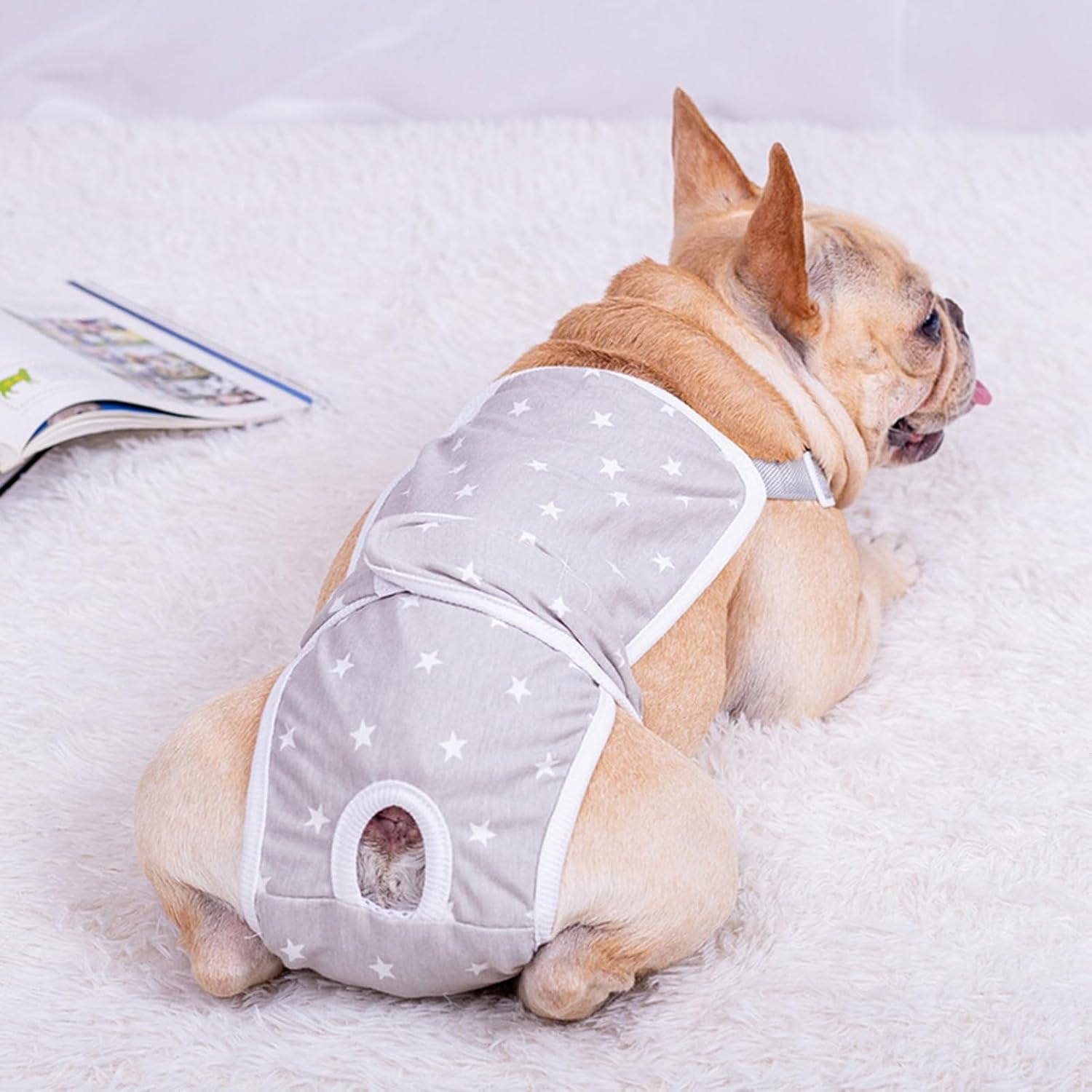 French-Bulldog-Shorts-Diaper-Pants-Fashionable-and-Functional-www.frenchie.shop