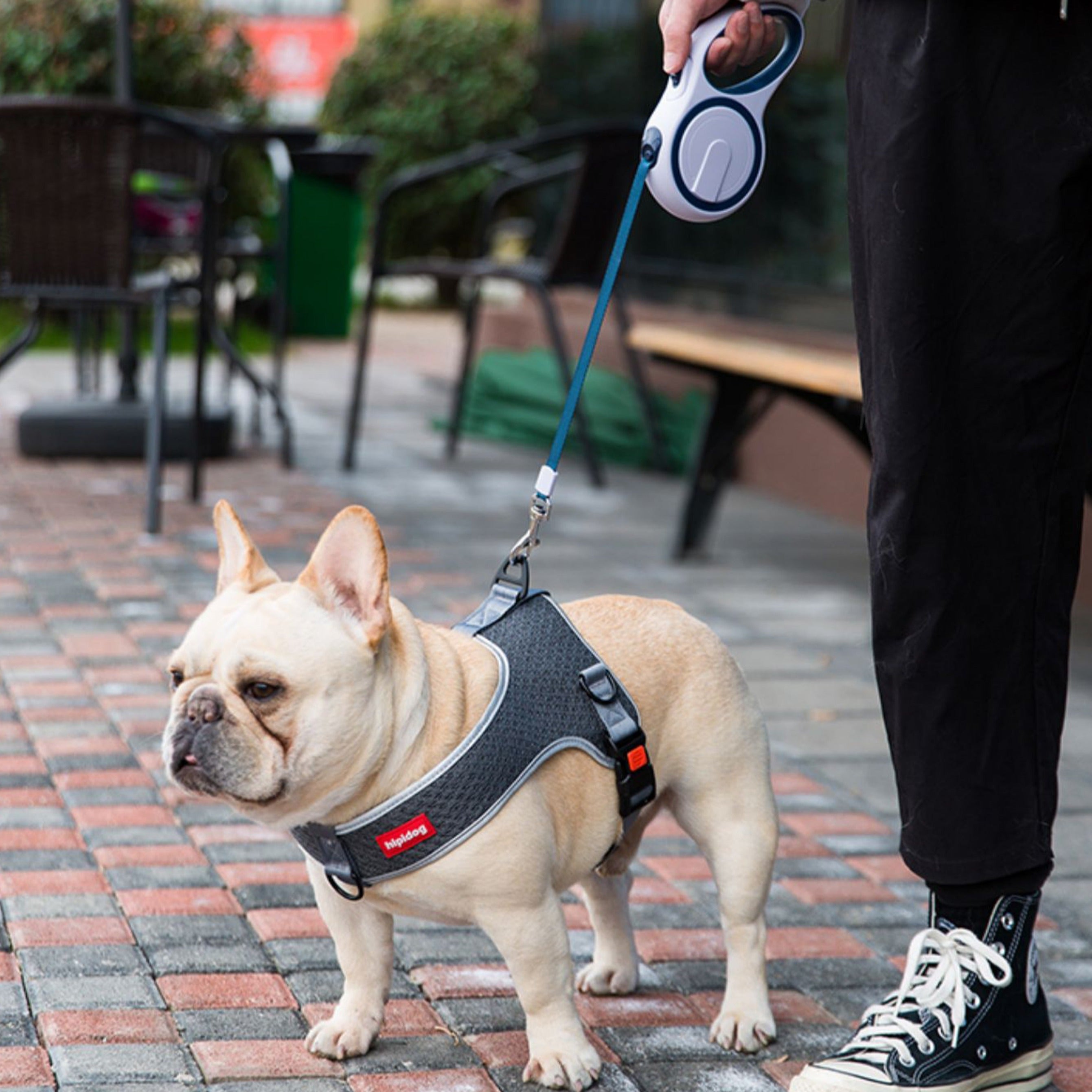 French bulldog clearance tactical harness