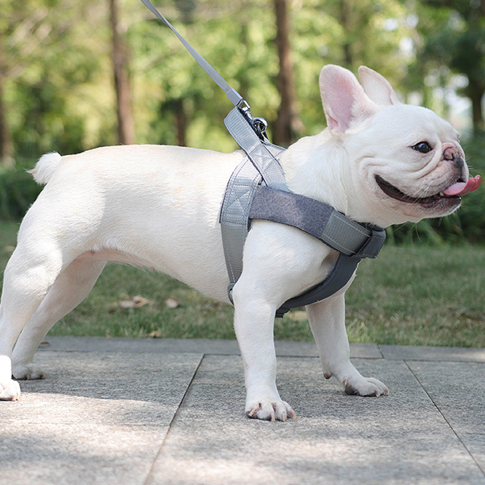 Frenchie Harness,Best Tactical Dog Harness with 16 Pouches for French  Bulldogs,Weighted Dog Vest for Small Dogs to Build Muscle - AliExpress